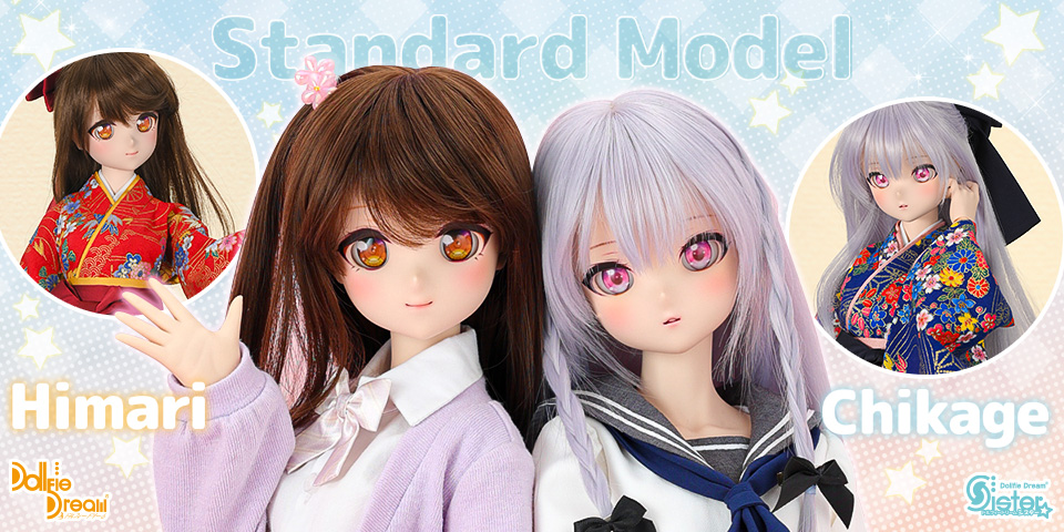 DD スタンダードモデル