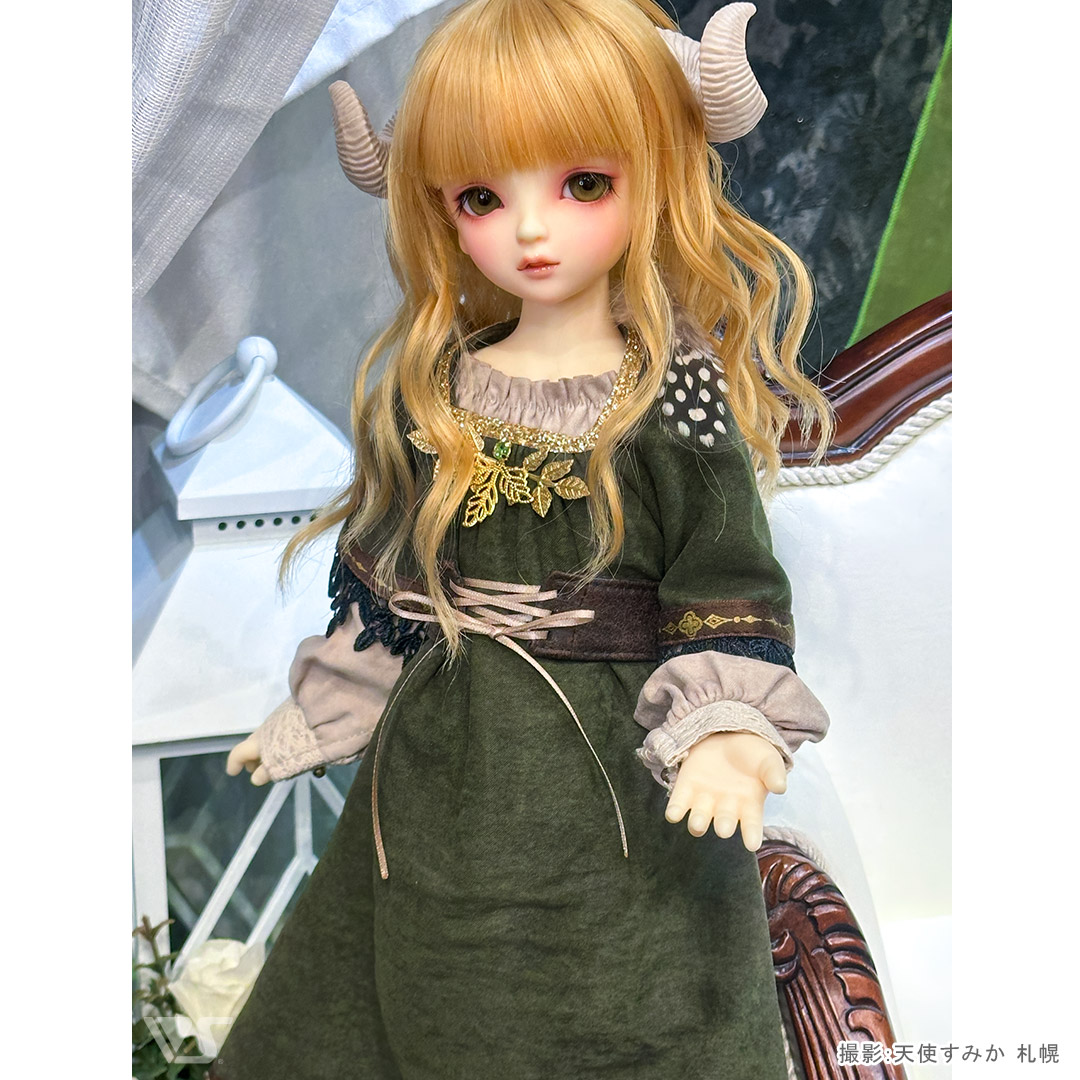 SDM 常磐の守り人・ミニ | ボークス公式 ドルフィーオンラインストア