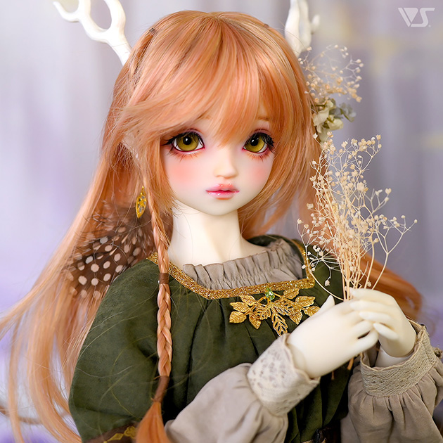 SD  常磐の守り人