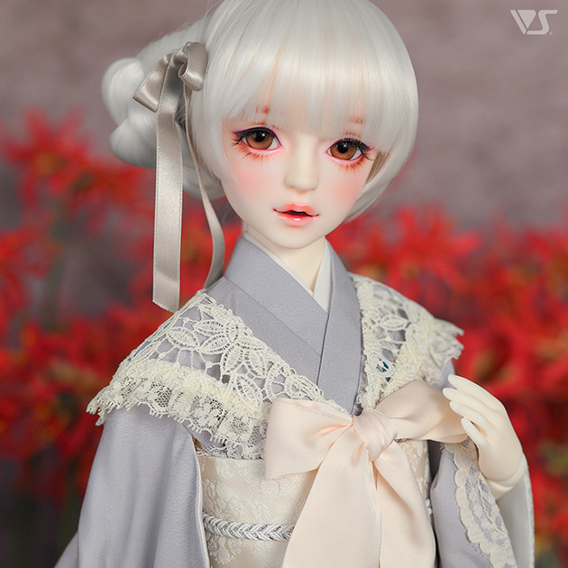 花色夢幻少女（白彼岸花）